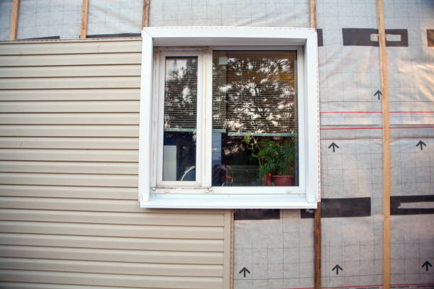 Best Shed Removal  in Raynham Center, MA